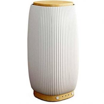 Pranarom ceramic bamboo jazz diffuser pack of 1