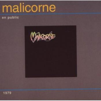 En Public - Malicorne