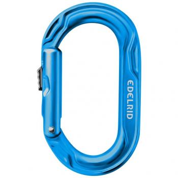 Edelrid Kiwi Slider Carabiner - Blue, Icemint, Lightweight and Durable