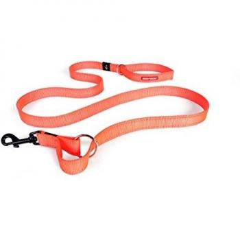EzyDog Vario 4 Correa multifunción para Perro, 3 – 6 pies