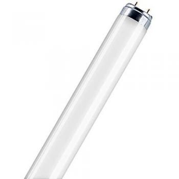 Osram LUMILUX T8 - Lámpara fluorescente, G13L 36 W/880
