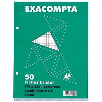 Exacompta Bristol - Tarjetas perforadas, 170 x 220 mm, 50 unidades, color blanco