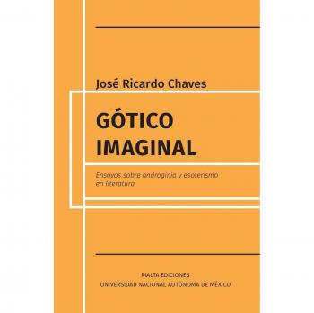 Ensayos Góticos sobre Androginia y Esoterismo en Literatura (Doxa)