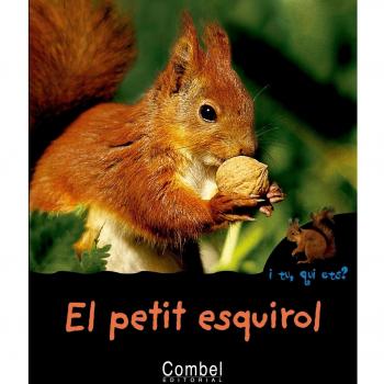 El petit esquirol