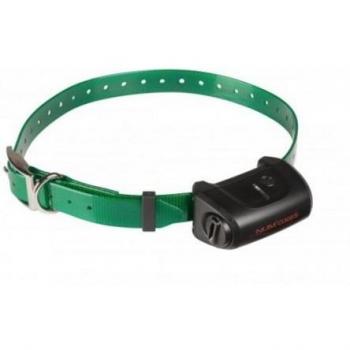 Collar de adiestramiento para perros Num'axes Canicom 5 con correa verde oscuro
