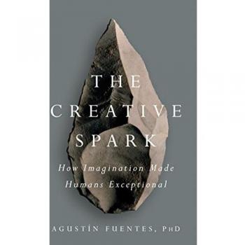 The Creative Spark: How Imagination Made Humans Exceptional