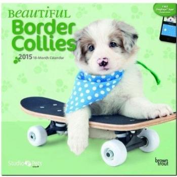 Beautiful Border Collies 2015 Wall by Myrna