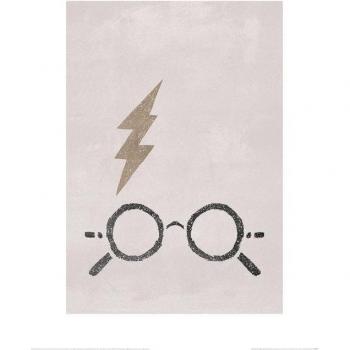 Impresión en papel Harry Potter El Niño Que Vivió 80cm x gris