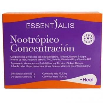 Nootrópico Esencial de Concentración - Tirosina, Ginkgo, Bacopa, Melena de León, Huperzia, B6, B12 y Minerales - Energía y Memoria - 30 Cápsulas