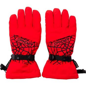 Guantes de esquí de hombre Overweb Gore-Tex Spyder
