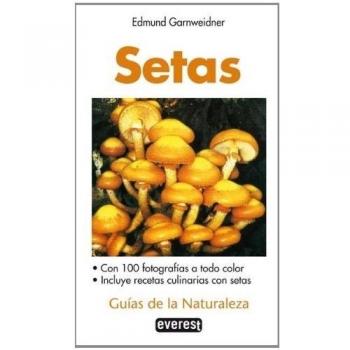 Setas