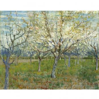 Orchard con flor naranja árboles por Van Gogh. 100% pintado a mano. Óleo sobre lienzo. Reproducción de alta calidad. Envío gratis