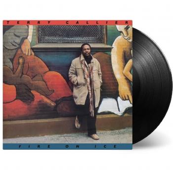 Fire On Ice [180 gm Vinyl] [Vinilo] - Terry Callier