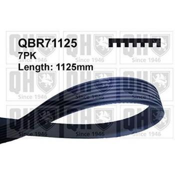 Correa trapecial poli V Quinton Hazell QBR71125 de alta resistencia y durabilidad