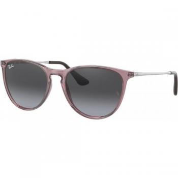 Ray-Ban Junior Erika Sunglasses RJ9060S 71078G Violet Panthos 50-15