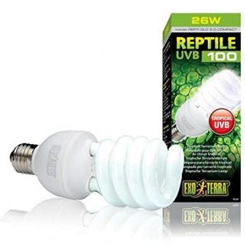 Exoterra PT2187 Bombilla Bajo Consumo UVB 100 Compacto Repti, 25 W
