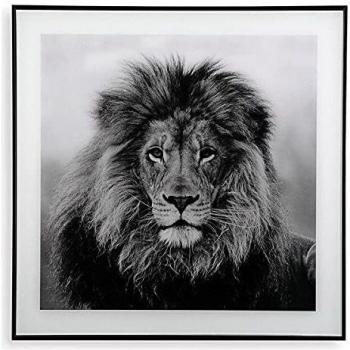 BigBuy Home S3403598 Cuadro Cristal, León, 2 x 50 x 50 cm