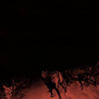 Universal Shadow Double Vinyl