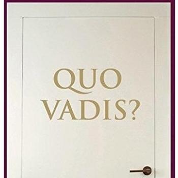 Vinilo adhesivo no.SF564 quo vadis, Color:Berenjena;Tamaño:122cm x 239cm