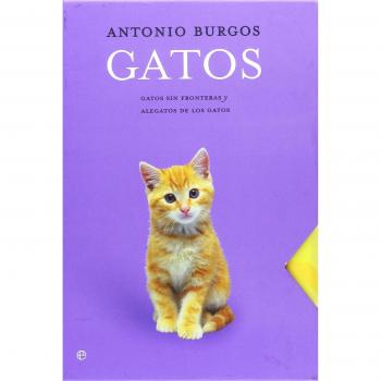 Gatos. gatos sin fronteras/ alegatos de los gatos