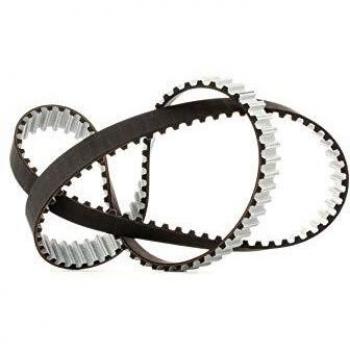 Dayco 94934 Correa Dentada