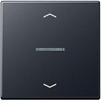 Tecla persiana con receptor vía radio antracita mate JUNG 0712180403