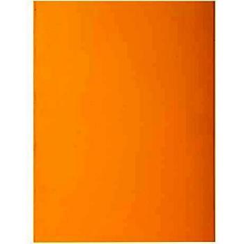 Exacompta 217111E - Lote de 10 Subcarpetas RockS 220, Color Amarillo