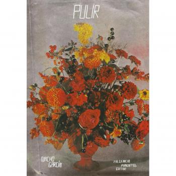 Pulir