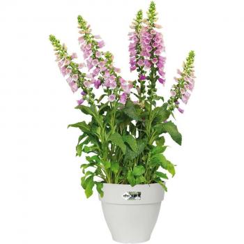 Maceta Blanca Redonda de Plástico Reciclado 25x21cm 6.5L