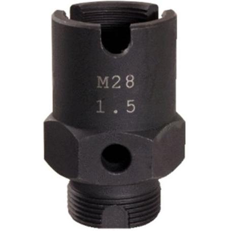 Imagen Principal