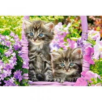 Puzzle Castorland Gatitos en Jardín de Verano 1000 Piezas