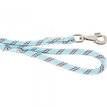 Correa Redondeada Nailon Turquesa para Perro - Petness Argentina