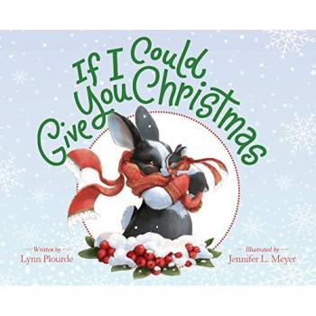 If I Could Give You Christmas