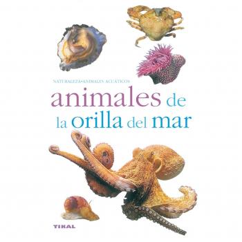Animales De La Orilla Del Mar