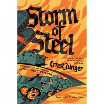 Storm of Steel: