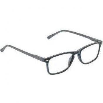 Gafas de presbicia Nesira +1.0 Gris 1ud