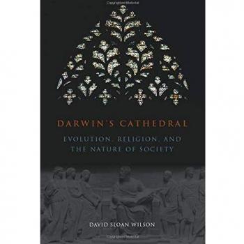 Darwin's Cathedral: Evolution, Religion, and the Nature of Society
