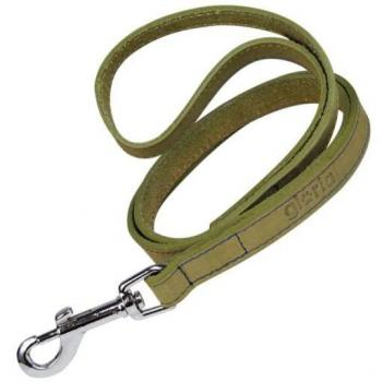 Correa para Perro Gloria Oasis Verde de Cuero de 1.5 x 100 cm