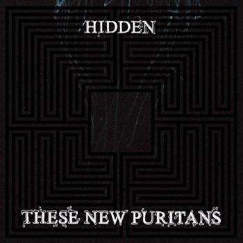 Hidden [Vinilo]