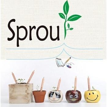 Sprout lápiz Hierbas Pack - fancyus Plantable lápiz con semillas