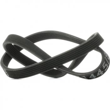 Correa Trapecial Poli V RIDEX 305P0153 para VW y SEAT, Compatible con Transporter V, Multivan V y Sharan (1215mm)