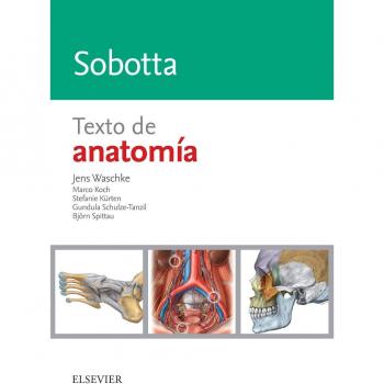 Sobotta. Texto de anatomía