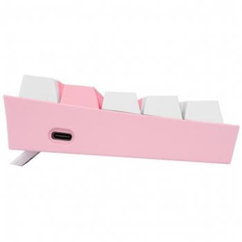 Teclado Redragon Fizz Pro K616 RGB Mecánico Inalámbrico