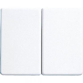 Tecla doble basculante blanco alpino 0712156302 Jung