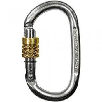 Climbing Technology - Mosquetón de Escalada con Seguro