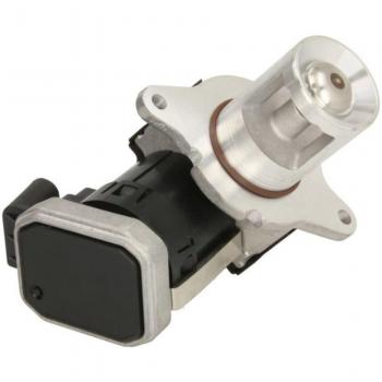 Válvula EGR DELPHI EG10487 con características de alta calidad, diseño preciso, resistencia a altas temperaturas y compatibilidad con múltiples modelos de vehículos