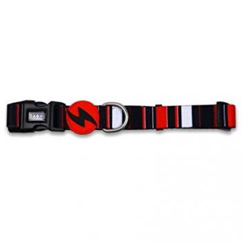 Collar Slide para Perro Dashi Multicolor (L)