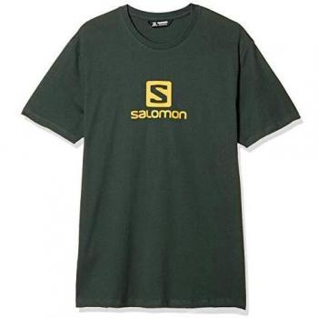 Salomon Coton Logo SS tee M Camiseta de Manga Corta, Hombre, Verde/Amarillo