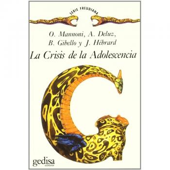 La Crisis De La Adolescencia
