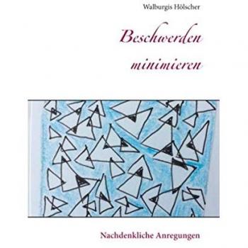 Minimizador de Inconvenientes: Reflexiones y Sugerencias por Walburgis Hölscher (Tapa blanda)